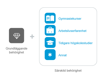 grundläggande behörighet + särskild behörighet (gymnasiekurser, arbetslivserfarenhet, tidigare högskolestudier, annat)