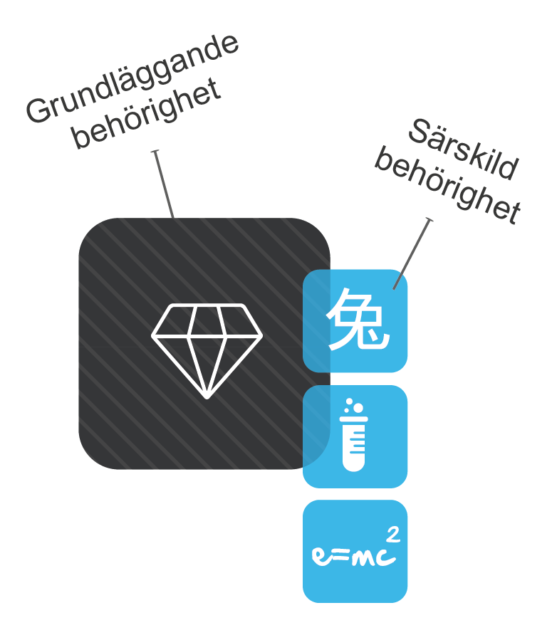 Grundläggande behörighet och särskild behörighet